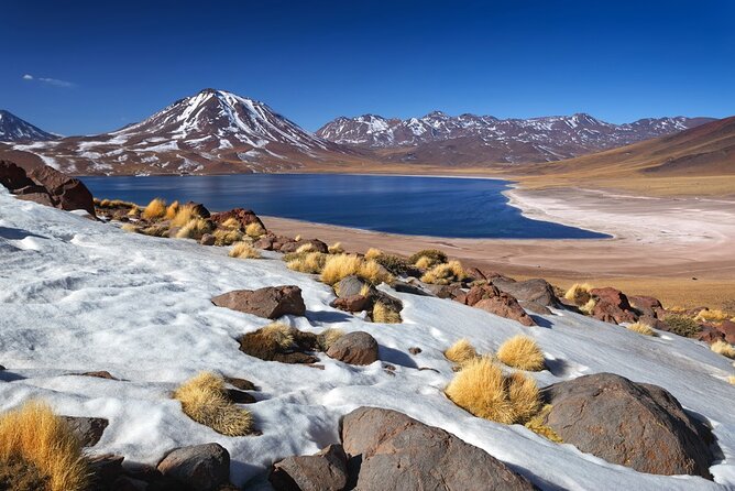 1-Day Tour Altiplanic Lagoons and Piedras Rojas and Laguna Chaxa - Key things to know before you book