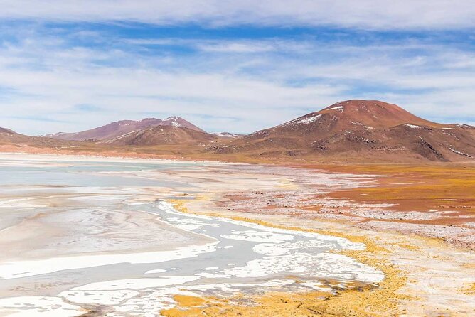 1-Day Tour Altiplanic Lagoons and Piedras Rojas and Laguna Chaxa - Laguna Tuyajto and the quiet side of the desert