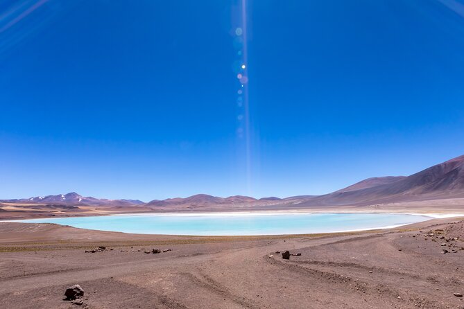 1-Day Tour Altiplanic Lagoons and Piedras Rojas and Laguna Chaxa - Laguna Chaxa and the flamingo finish