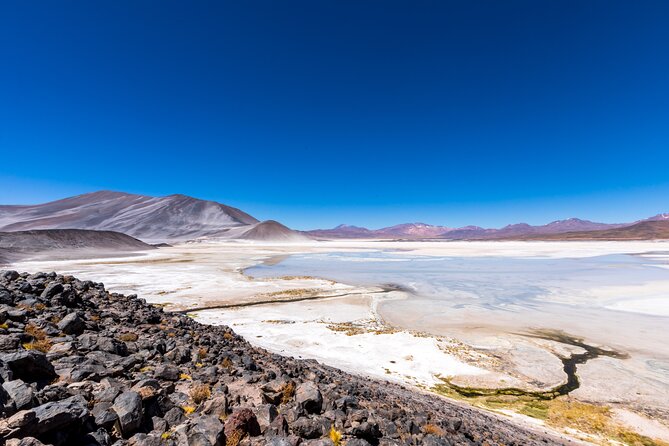 1-Day Tour Altiplanic Lagoons and Piedras Rojas and Laguna Chaxa - Lunch in Toconao