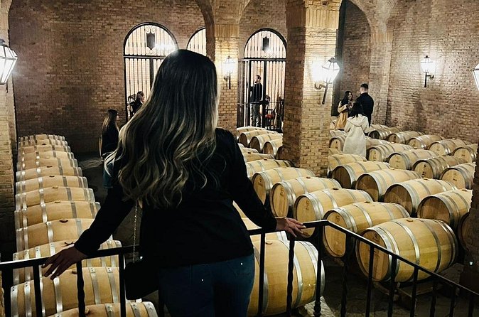1 Day Tour of Viña Concha y Toro from Santiago - Walking through the 24-grape garden