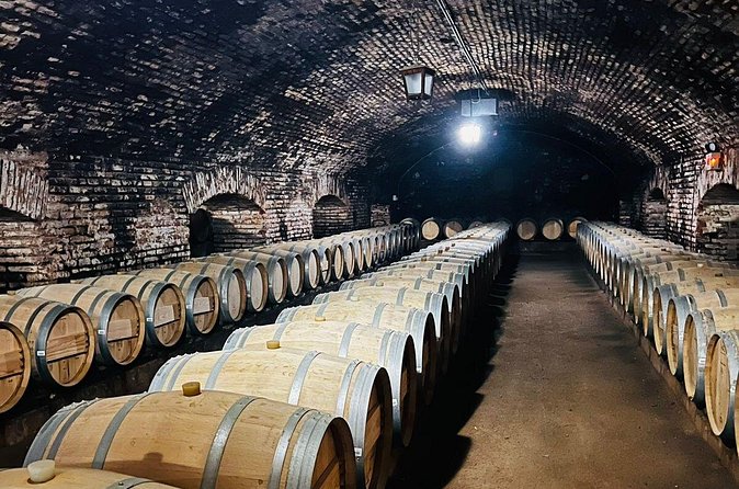 1 Day Tour of Viña Concha y Toro from Santiago - Timing problems deserve attention