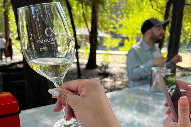1 Day Tour of Viña Concha y Toro from Santiago - Pickup, group size, and comfort