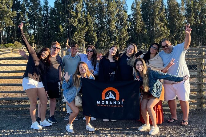 1 Day Valparaiso and Vina del Mar Tour from Santiago - The Rapa Nui moai at the Fonck Museum