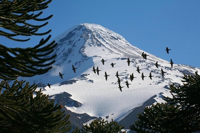 2-day guided ascent to Lanin volcano, from Pucón - Key points before you book