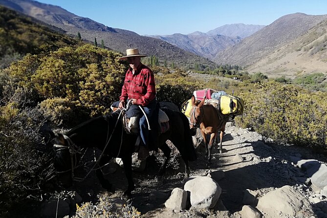 2-Day Private Hiking Tour to La Paloma Glacier - Day two: Campos de Marte and the first glacier views