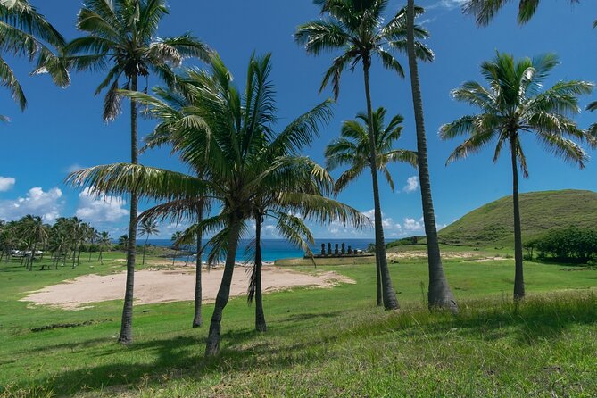 2 Days Highlights Tour in Easter Island Moai and Nature - Guides, Languages, and the Shared Van