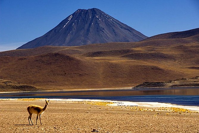 4-Day Atacama Desert Experience with Hotel, Tours & Meals - Day 4: A simple airport departure