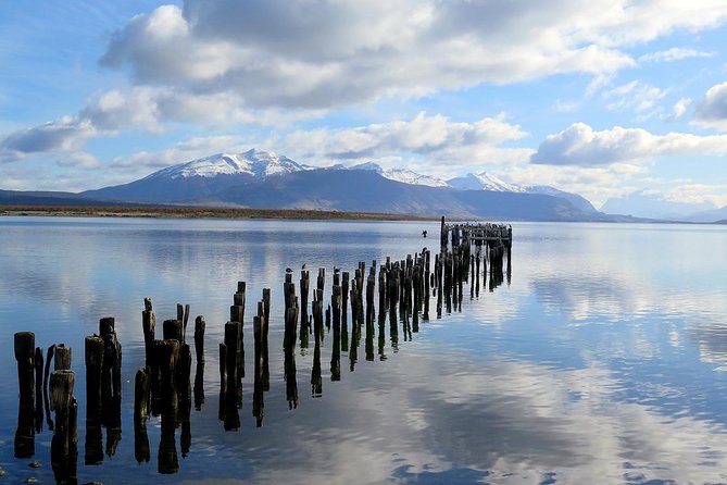 4-Days Trip to Puerto Natales & Torres del Paine National Park - Day 2: Milodon Cave and the great views of Torres del Paine