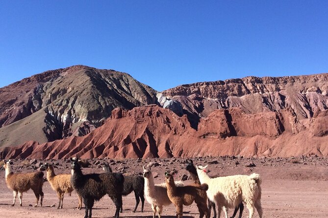 4 Tour in 2 Days, in San Pedro de Atacama - Four sights, two long days