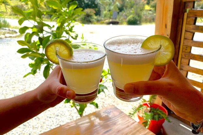 4h Cooking Class in Santiago with 8 Recipes & Bottomless Drinks - Food needs, age limits, and group comfort