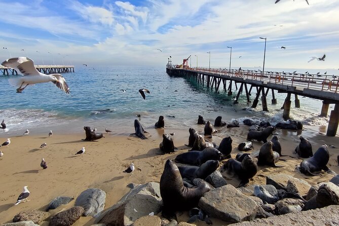 A full Private Tour of Valparaiso from Santiago - Why a private tour helps in Valparaíso