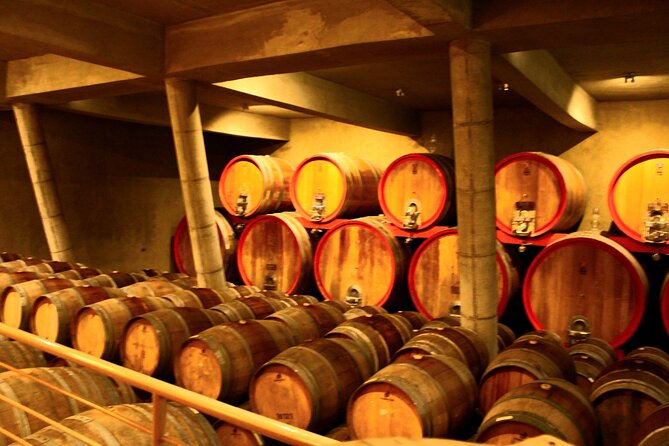 A Hop-On Hop-Off Wine Tour Service from Casablanca - Why this Casablanca route works well from Valparaíso