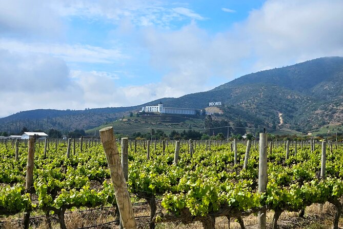 A Hop-On Hop-Off Wine Tour Service from Casablanca - What the flexible format means for your budget