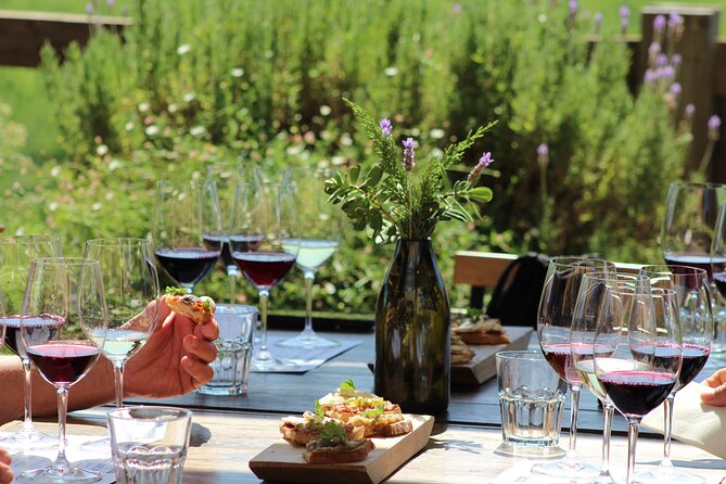 A Hop-On Hop-Off Wine Tour Service from Casablanca - Who will enjoy this day most