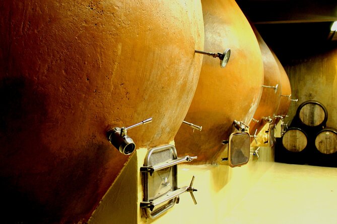 A Hop-On Hop-Off Wine Tour Service from Casablanca - Bodegas RE: creative wine in a compact visit