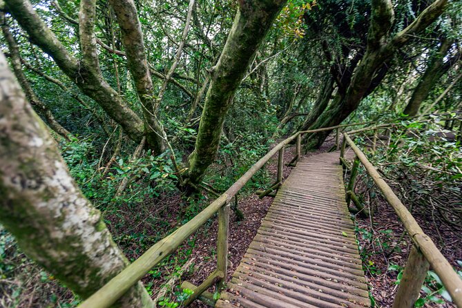 Activity in Fray Jorge National Park - Key Points About This Fray Jorge Excursion