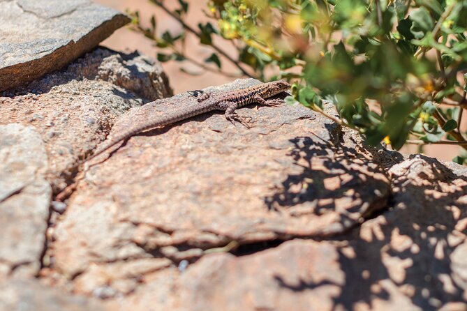Activity in Fray Jorge National Park - Why Fray Jorge Feels So Unexpected