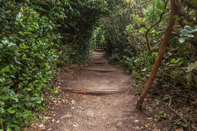 Activity in Fray Jorge National Park - The Hill Climb and the First Big Views