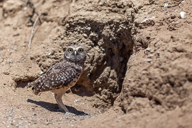 Activity in Fray Jorge National Park - Weather, Park Closures, and Cancellation Rules