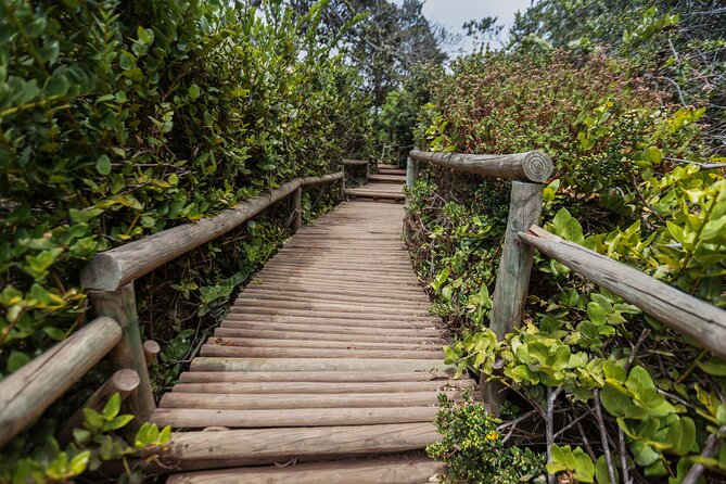 Activity in Fray Jorge National Park - The 8:00 am Start in La Serena