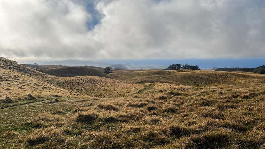 Adventures in Rapa Nui: High-quality tourism with Easter Island Your Tour. - Ahu Akahanga and the island’s ceremonial past