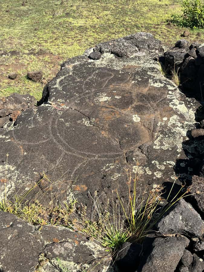 Adventures in Rapa Nui: High-quality tourism with Easter Island Your Tour. - Anakena changes the mood with sand and sea