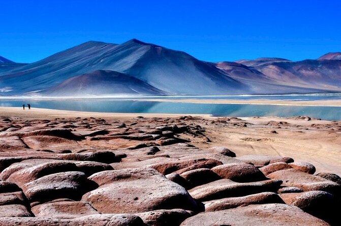 Altiplanic Lagoons and Piedras Rojas - One day across the Atacama highlands