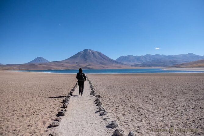 Altiplanic Lagoons and Piedras Rojas - Chaxa Lagoon and the flamingo stop