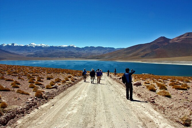 Altiplanic Lagoons and Piedras Rojas - Socaire and the Tropic of Capricorn