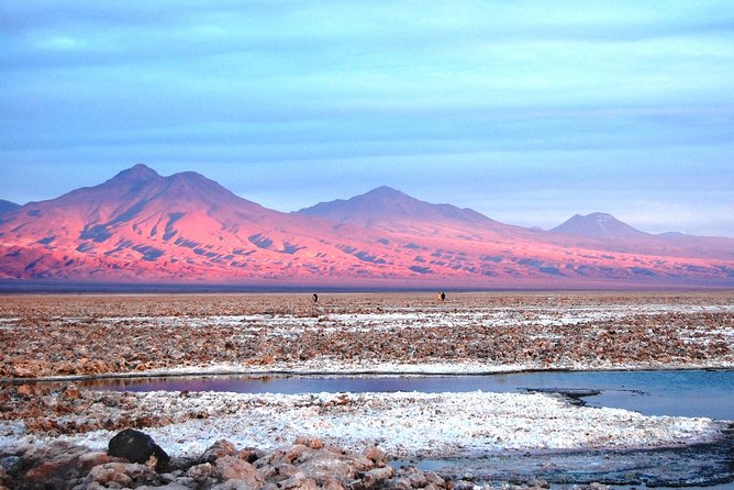 Altiplanic Lagoons & Piedras Rojas Tour from San Pedro de Atacama - Why this Atacama day trip is worth considering