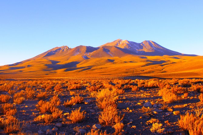 Altiplanic Lagoons & Piedras Rojas Tour from San Pedro de Atacama - Miscanti and Miñiques at 4,200 meters