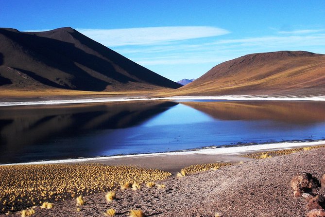 Altiplanic Lagoons & Piedras Rojas Tour from San Pedro de Atacama - Guides can make or break the day