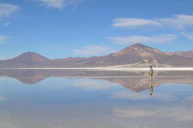 Altiplano 3D 2N Arica Putre Salar de Surire Lake Chungara Arica - Salar de Surire and the vicuñas of Las Vicuñas National Reserve