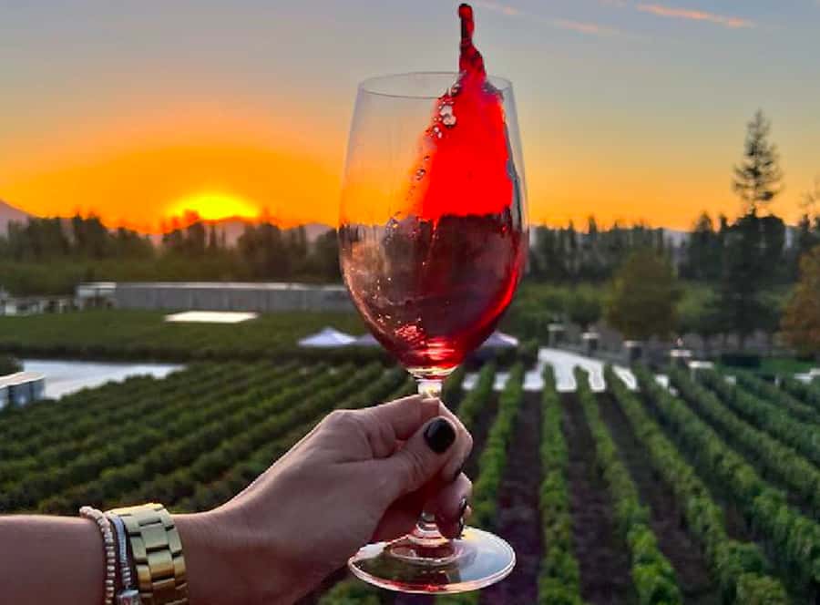 Alyan Family sunset winery - From Santiago hotel pickup to Santa Rita
