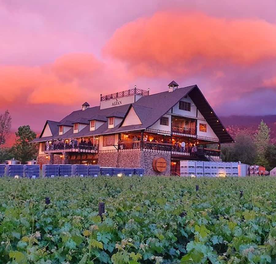 Alyan Family sunset winery - Toasting the sunset on the deck