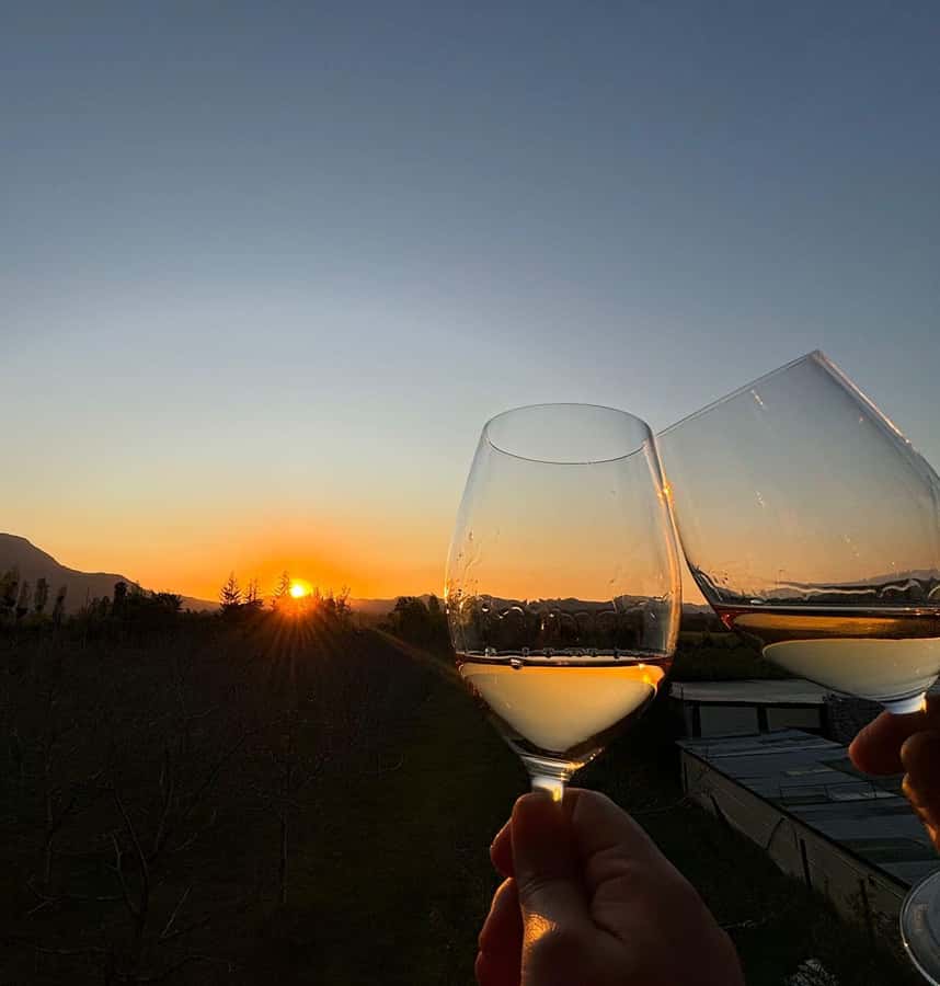 Alyan Family sunset winery - Browsing the winery store