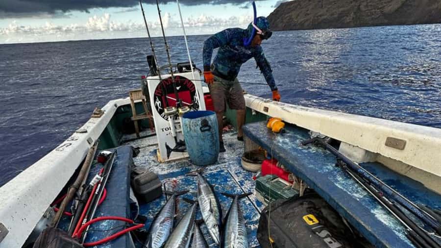 Ancestral fishing: Fishing with an experienced Rapa Nui - Key points to know before booking