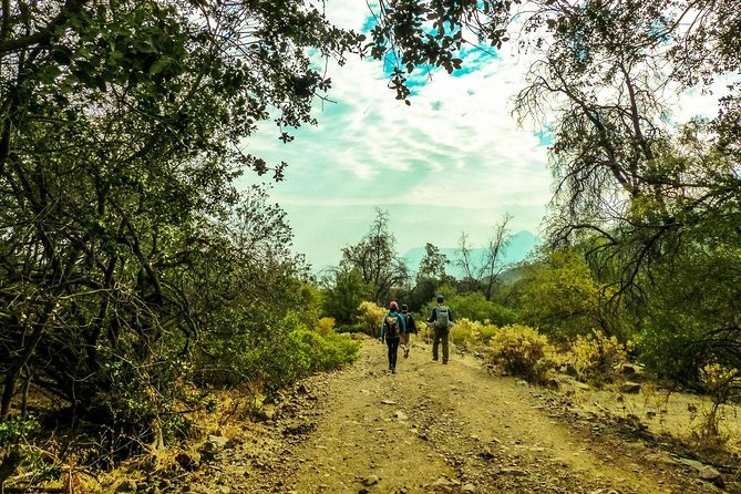 Andes Hike 12k - Private - From Santiago streets to Farellones mountain air