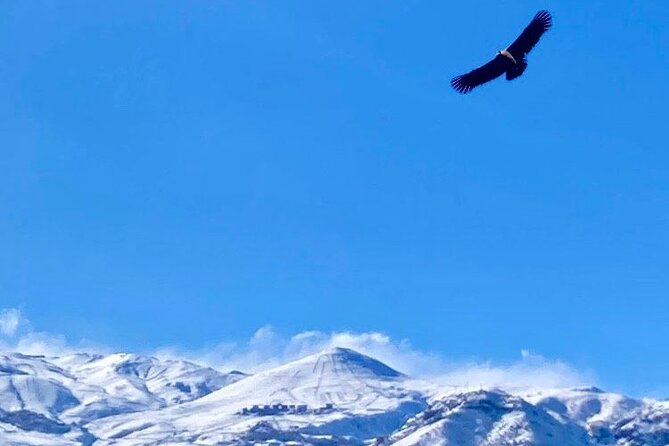 Andes Mountains Tour From Santiago with Appetizer - Key points at a glance