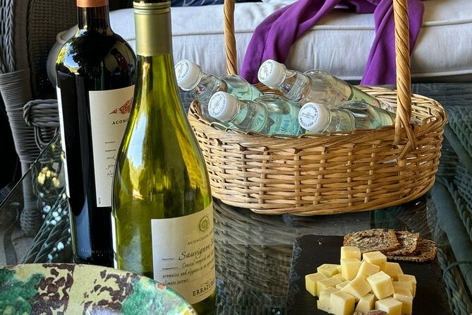 Andes Portillo & Aconcagua wine tour semi private - Paso Internacional Los Libertadores