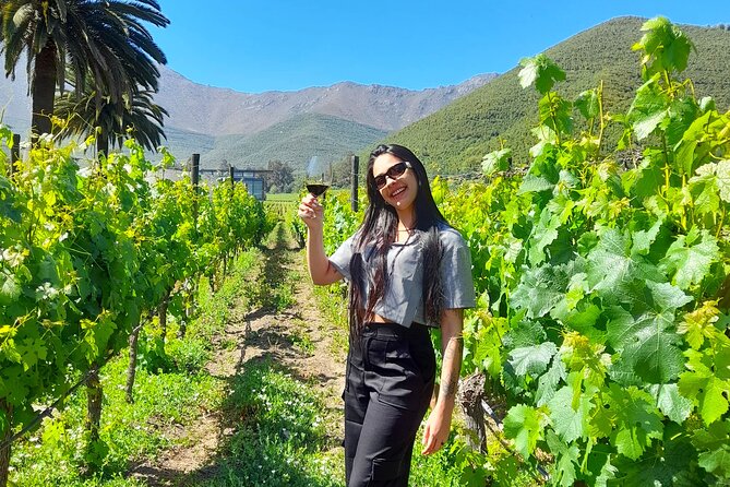 Andes Portillo & Aconcagua wine tour semi private - Laguna del Inca and Portillo’s historic ski center