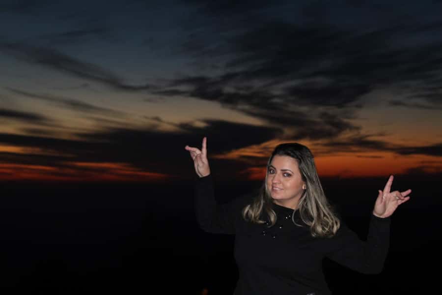 Andes sunset - Cordillera Andes panoramic with picnic - Is $70 a fair price?