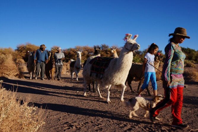 Archaeological Experience in Atacama Tulor and Quitor - Key points to know before booking