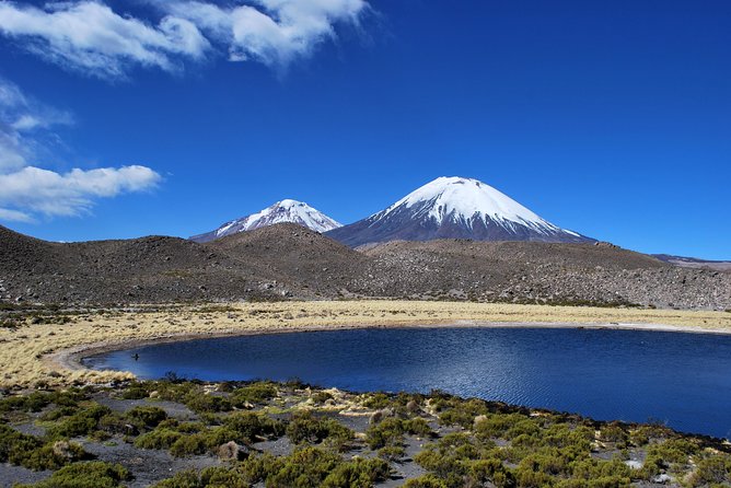 Arica: Full day to Lauca National Park and Chungara Lake, meals included - Key points before you book