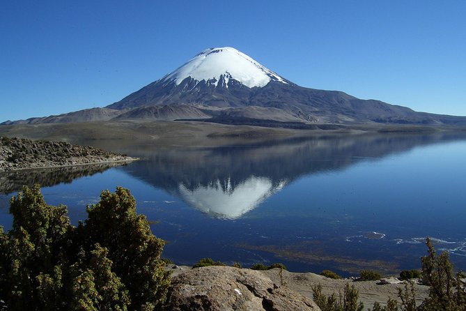 Arica: Full day to Lauca National Park and Chungara Lake, meals included - Lluta Valley starts the day with birds and ancient markings
