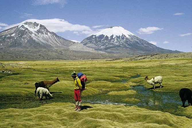 Arica: Full day to Lauca National Park and Chungara Lake, meals included - Tambo de Zapahuira adds an Inca-era stop