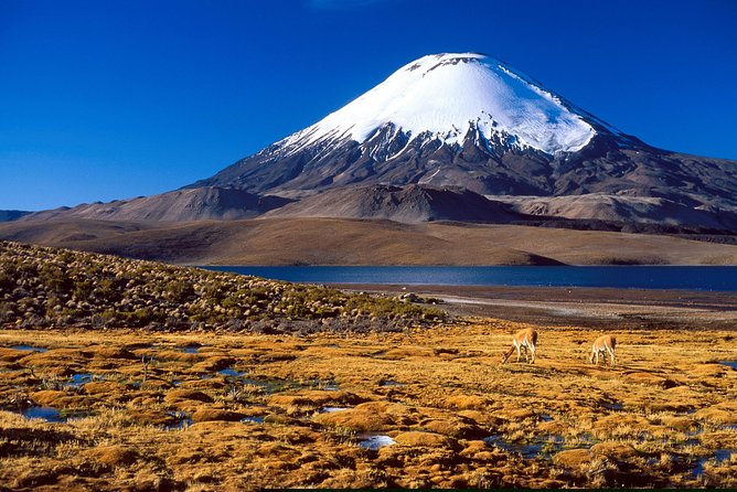 Arica: Full day to Lauca National Park and Chungara Lake, meals included - Chungara Lake delivers the most dramatic view