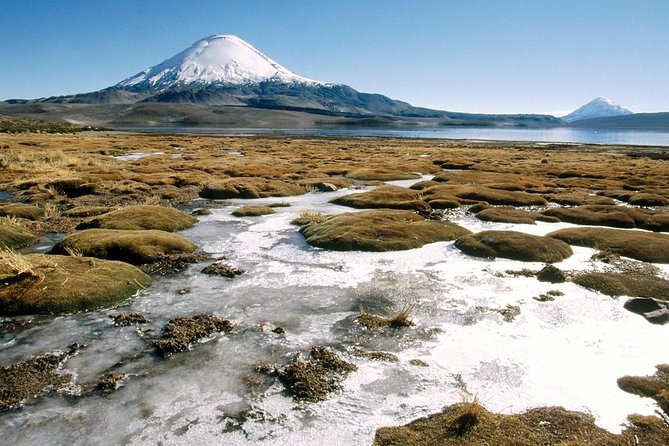 Arica: Full day to Lauca National Park and Chungara Lake, meals included - Parinacota Church and lunch close the cultural loop