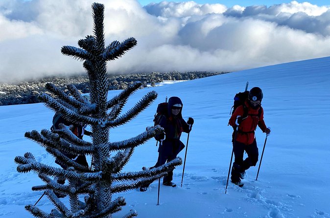 Ascent of the Llaima Volcano - Snow sliding makes the descent memorable